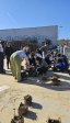 1742403569899-2.jpg - JPEG - 440 ko - 1280×2273 px